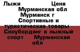 Лыжи Equipe ELAN › Цена ­ 4 000 - Мурманская обл., Мурманск г. Спортивные и туристические товары » Сноубординг и лыжный спорт   . Мурманская обл.